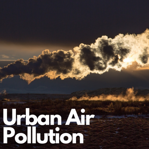 A picture of air pollution with the text "Urban Air Pollution" beneath it